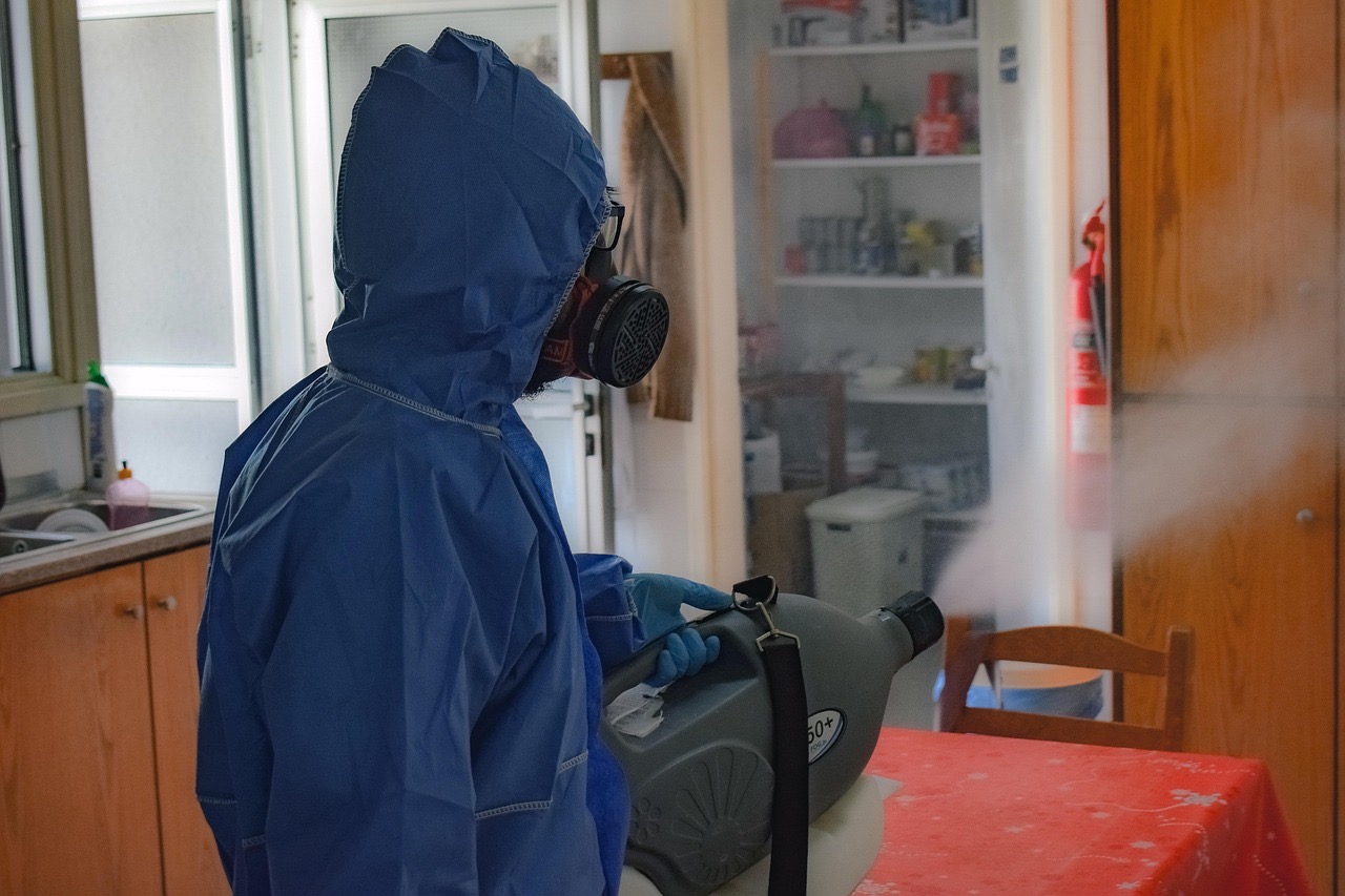 guía completa de fumigación para eliminar plagas eficazmente